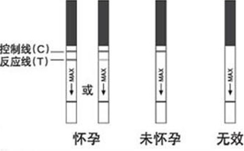 早孕的检测方法有哪些