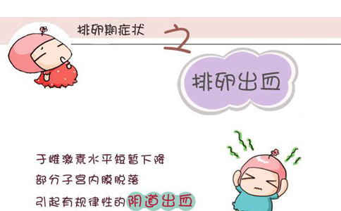 排卵期出血会影响怀孕吗