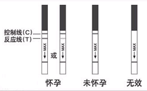 早孕试纸一定要用晨尿测吗