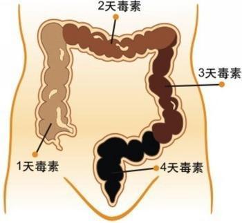 便秘不治疗有什么危害