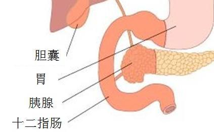 十二指肠炎