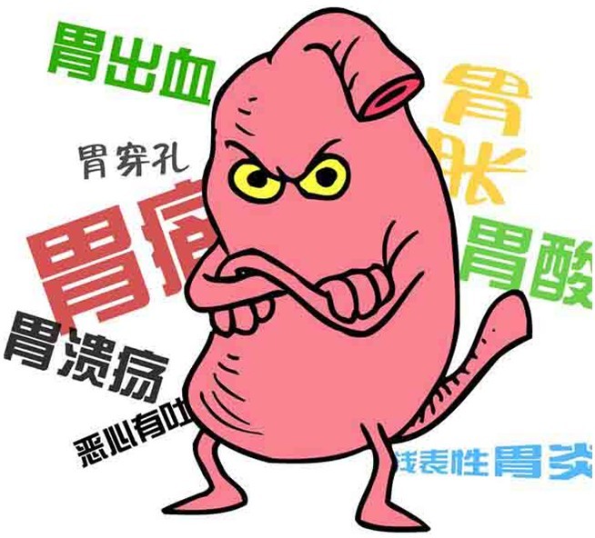 养胃护胃