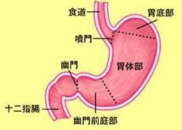 十二指肠溃疡严重吗能致癌吗