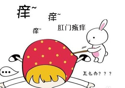 肛门瘙痒用什么药效果好